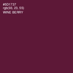 #5D1737 - Wine Berry Color Image