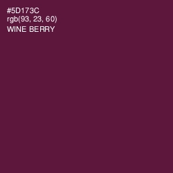 #5D173C - Wine Berry Color Image