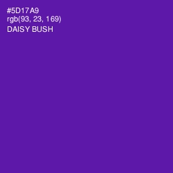 #5D17A9 - Daisy Bush Color Image