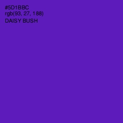 #5D1BBC - Daisy Bush Color Image
