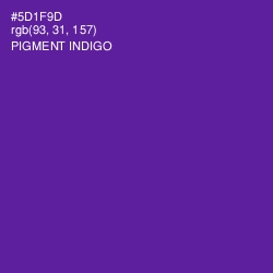 #5D1F9D - Pigment Indigo Color Image