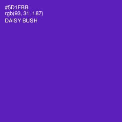 #5D1FBB - Daisy Bush Color Image