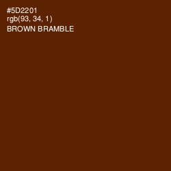 #5D2201 - Brown Bramble Color Image