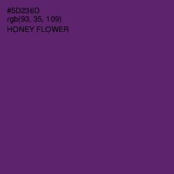 #5D236D - Honey Flower Color Image