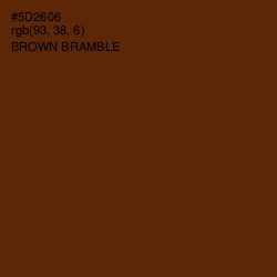 #5D2606 - Brown Bramble Color Image