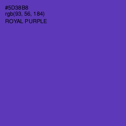 #5D38B8 - Royal Purple Color Image