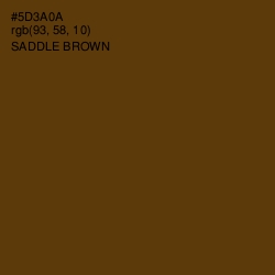 #5D3A0A - Saddle Brown Color Image