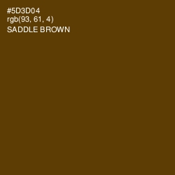 #5D3D04 - Saddle Brown Color Image