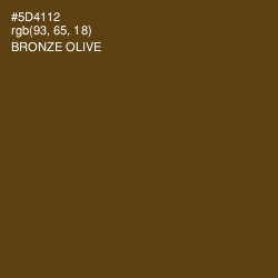 #5D4112 - Bronze Olive Color Image