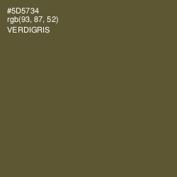 #5D5734 - Verdigris Color Image