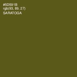 #5D591B - Saratoga Color Image