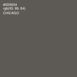 #5D5954 - Chicago Color Image