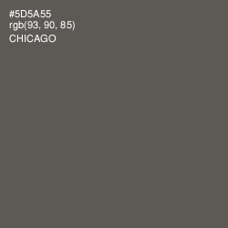 #5D5A55 - Chicago Color Image
