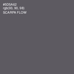 #5D5A62 - Scarpa Flow Color Image