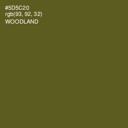 #5D5C20 - Woodland Color Image