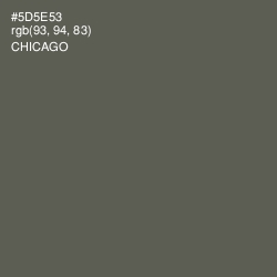 #5D5E53 - Chicago Color Image