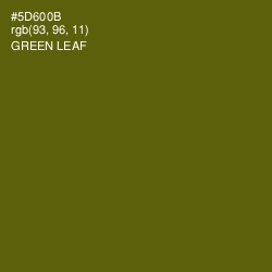 #5D600B - Green Leaf Color Image