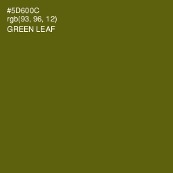 #5D600C - Green Leaf Color Image