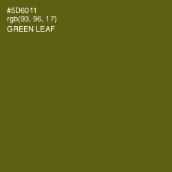 #5D6011 - Green Leaf Color Image