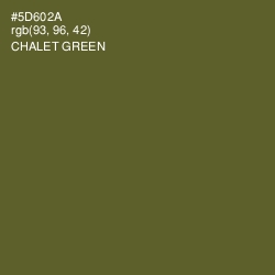 #5D602A - Chalet Green Color Image