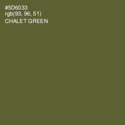 #5D6033 - Chalet Green Color Image