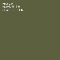 #5D603F - Chalet Green Color Image