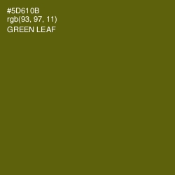 #5D610B - Green Leaf Color Image