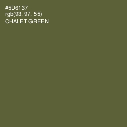 #5D6137 - Chalet Green Color Image