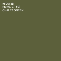 #5D613B - Chalet Green Color Image
