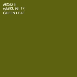 #5D6211 - Green Leaf Color Image