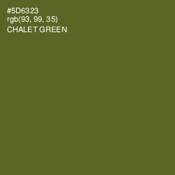 #5D6323 - Chalet Green Color Image