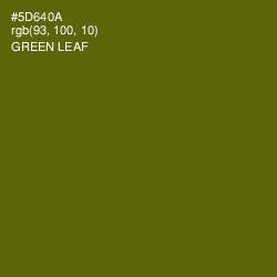 #5D640A - Green Leaf Color Image