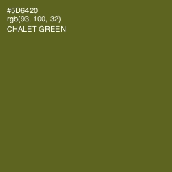 #5D6420 - Chalet Green Color Image