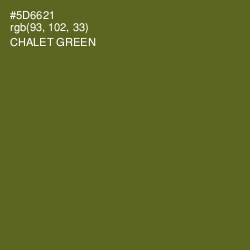 #5D6621 - Chalet Green Color Image