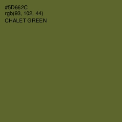 #5D662C - Chalet Green Color Image