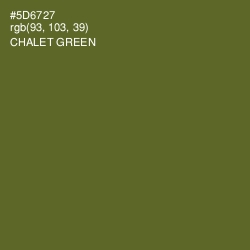 #5D6727 - Chalet Green Color Image