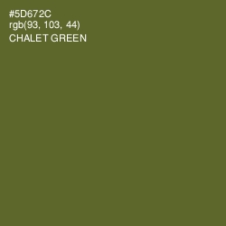 #5D672C - Chalet Green Color Image