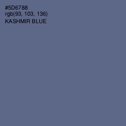 #5D6788 - Kashmir Blue Color Image