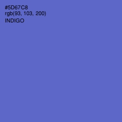 #5D67C8 - Indigo Color Image