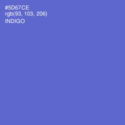 #5D67CE - Indigo Color Image