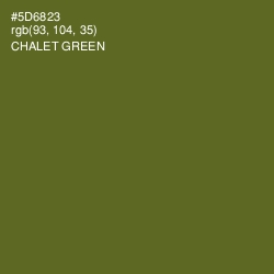 #5D6823 - Chalet Green Color Image