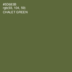 #5D683B - Chalet Green Color Image