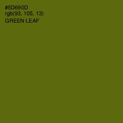 #5D690D - Green Leaf Color Image