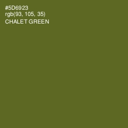 #5D6923 - Chalet Green Color Image
