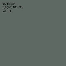 #5D6962 - Shuttle Gray Color Image