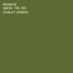 #5D6A32 - Chalet Green Color Image