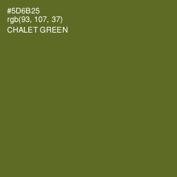 #5D6B25 - Chalet Green Color Image