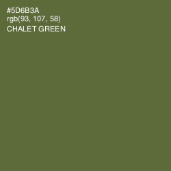 #5D6B3A - Chalet Green Color Image