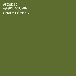 #5D6D30 - Chalet Green Color Image