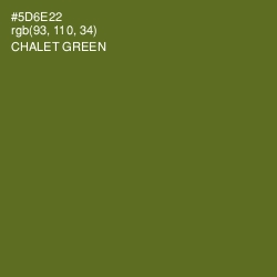 #5D6E22 - Chalet Green Color Image